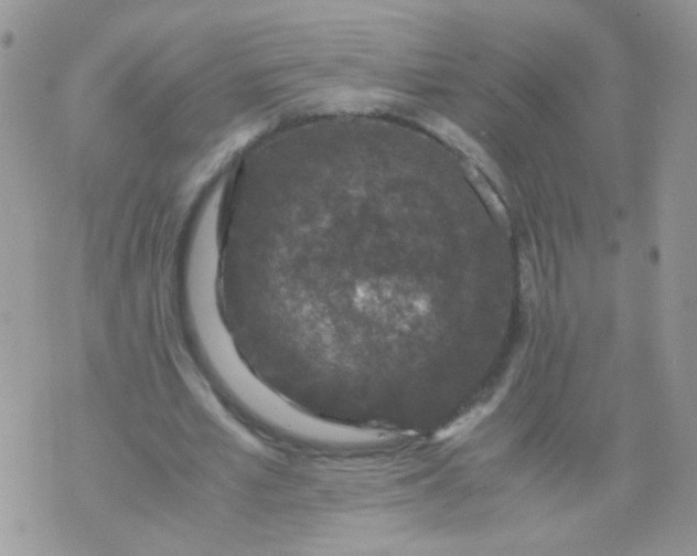 X0000071860581200607211919