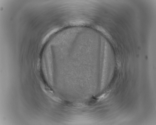 X0000071860583200607211919