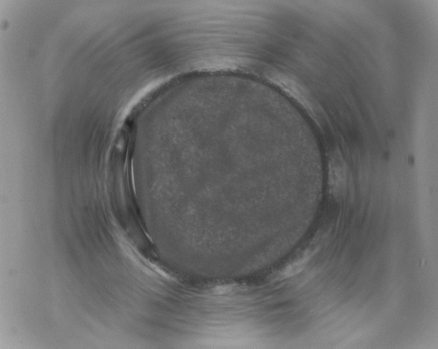 X0000071860584200607211919