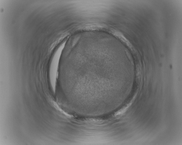 X0000071860585200607211919