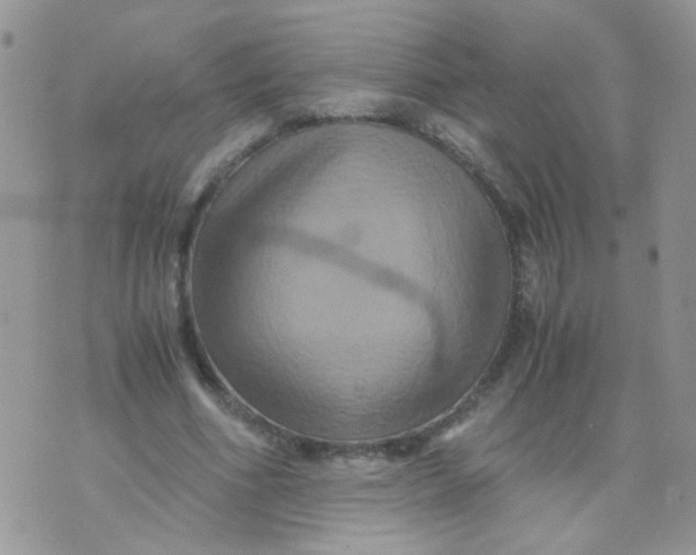 X0000071860586200607211919