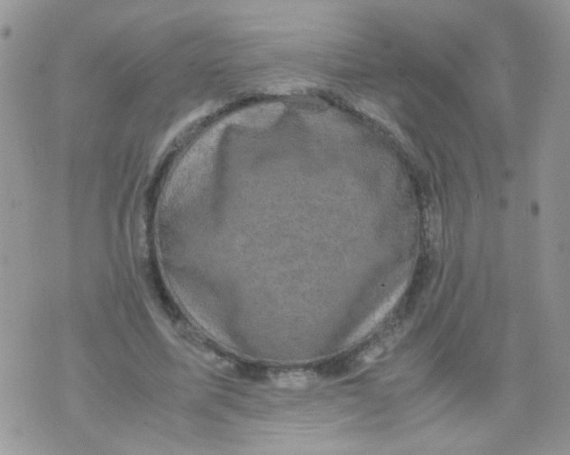 X0000071860587200607211919