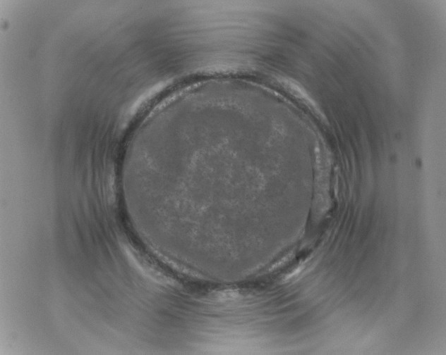 X0000071860588200607211919