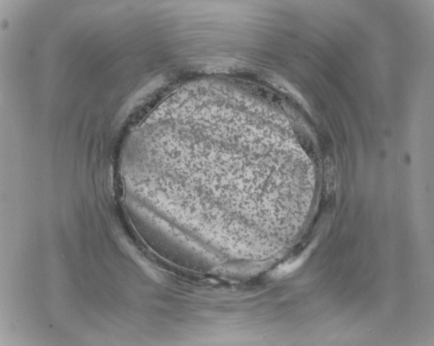 X0000071860589200607211919