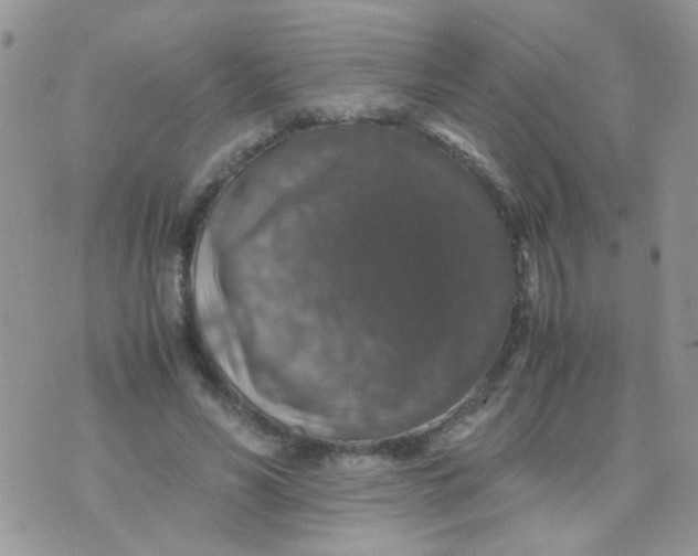 X0000071860590200607211919