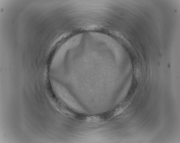 X0000071860591200607211919