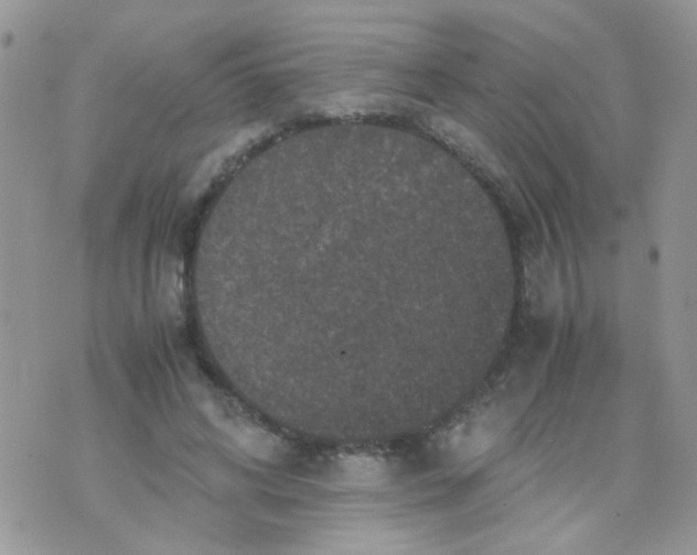 X0000071860592200607211919