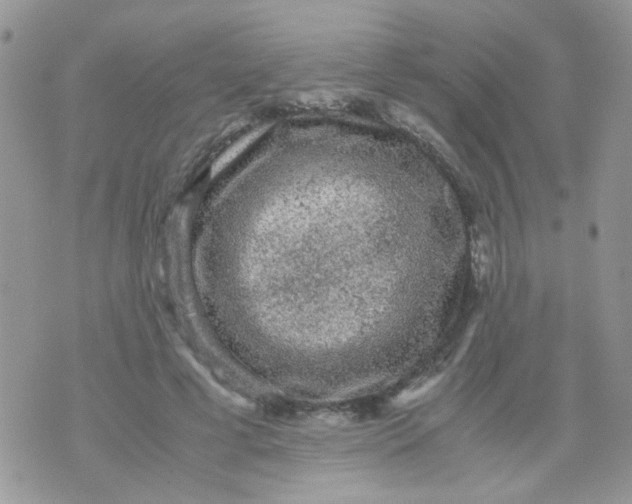 X0000071860593200607211919