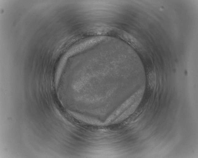 X0000071860594200607211919