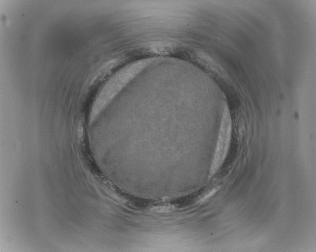 X0000071860595200607211919