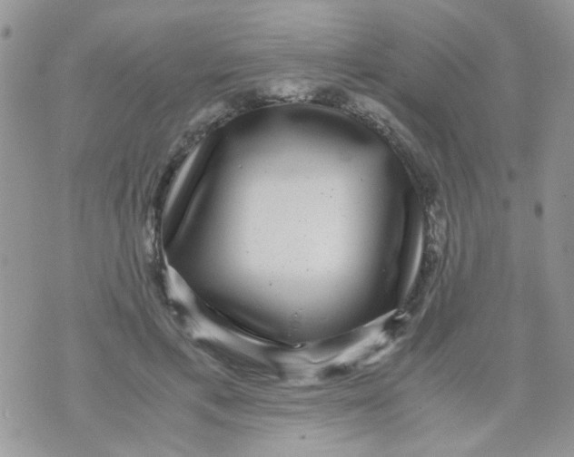 X0000071860597200607211919