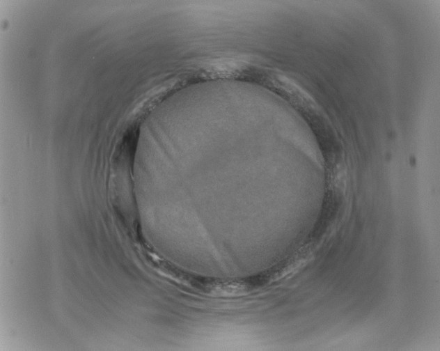 X0000071860599200607211919