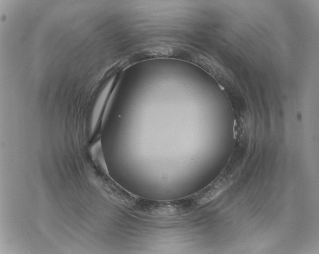 X0000071860600200607211919