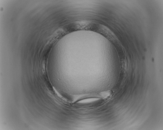 X0000071860602200607211919