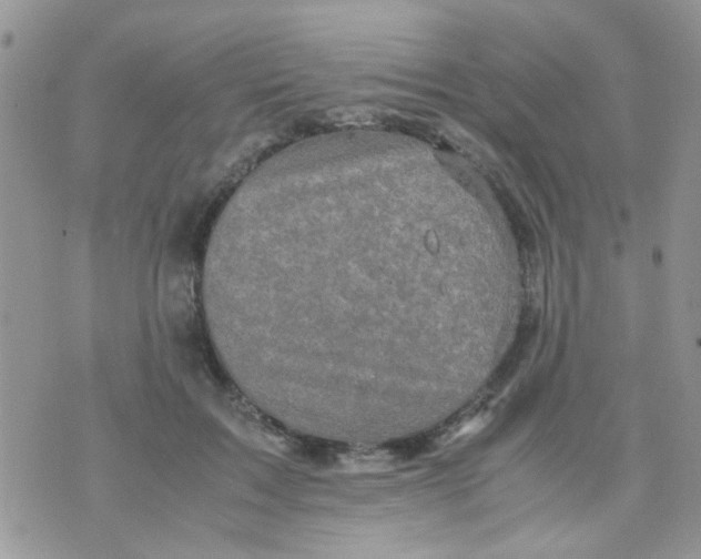 X0000071860603200607211919