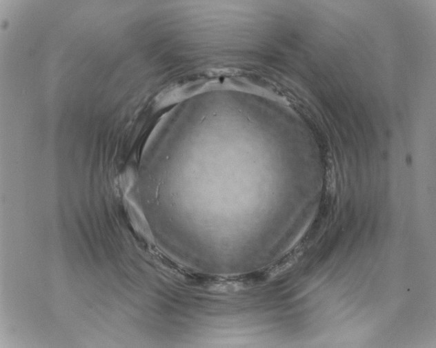 X0000071860604200607211919