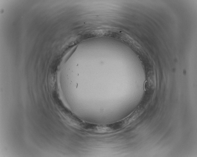 X0000071860605200607211919