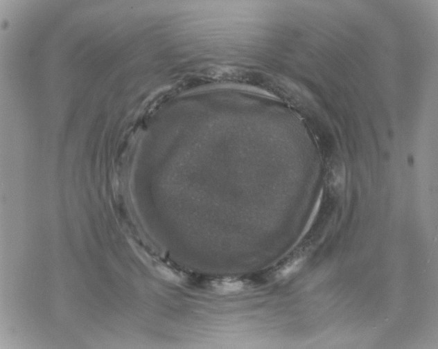 X0000071860607200607211919