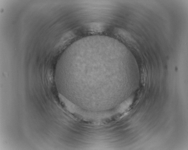 X0000071860608200607211919