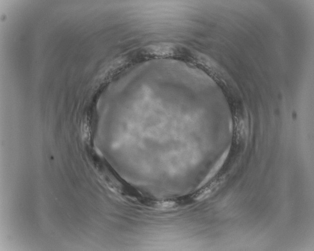 X0000071860609200607211919