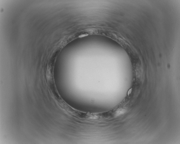 X0000071860611200607211919