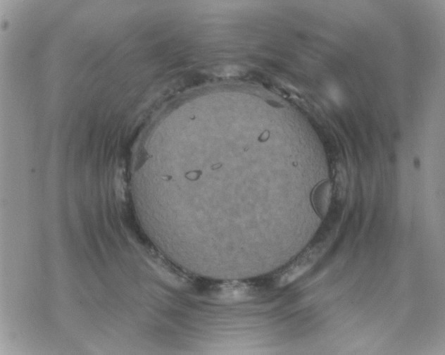 X0000071860612200607211919