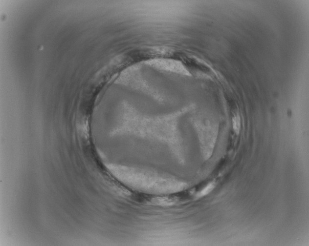 X0000071860613200607211919