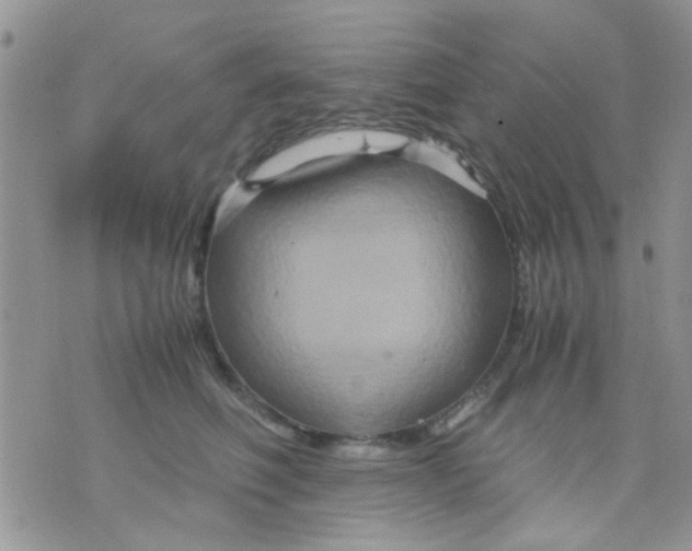 X0000071860614200607211919