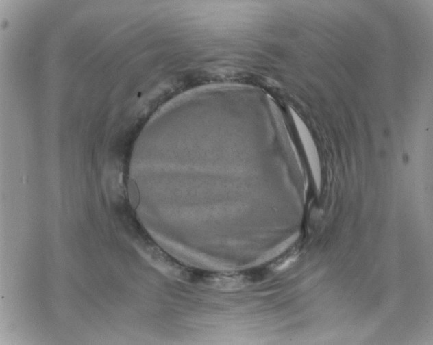 X0000071860615200607211919