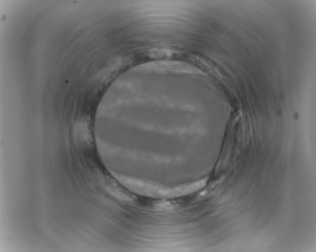 X0000071860616200607211919