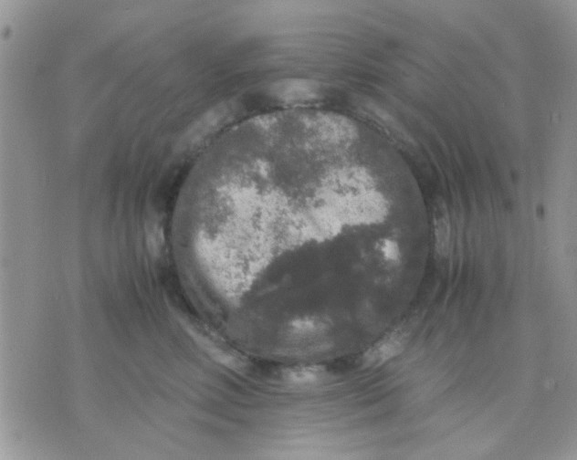 X0000071860618200607211919