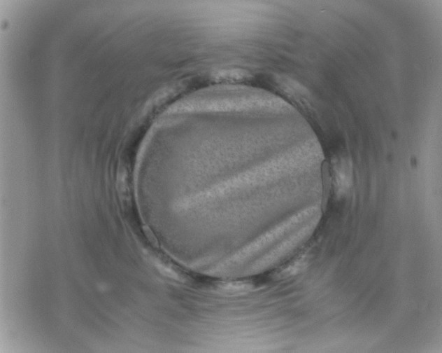 X0000071860619200607211919