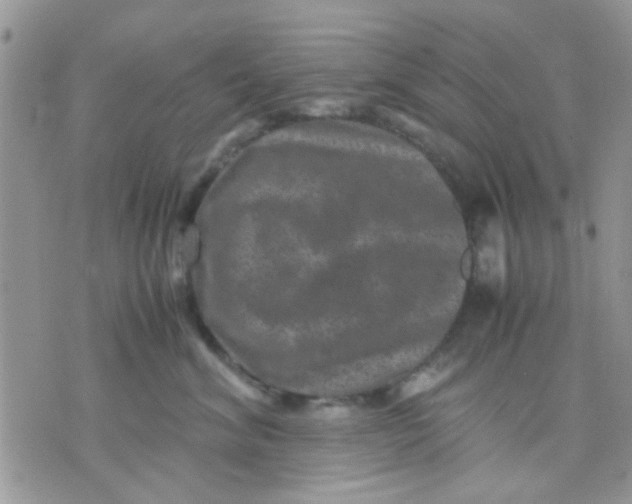 X0000071860620200607211919