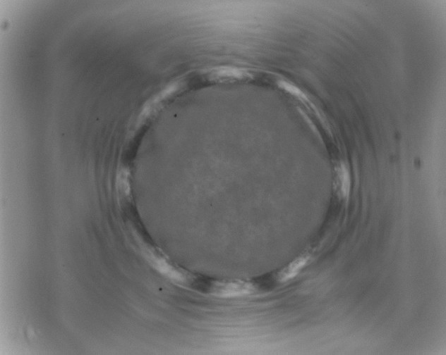 X0000071860621200607211919