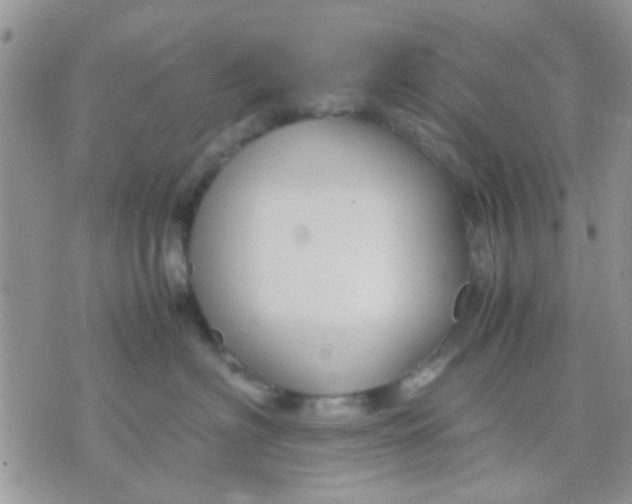 X0000071860622200607211919