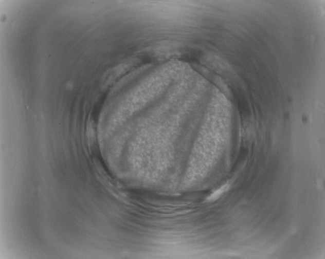 X0000071860623200607211919