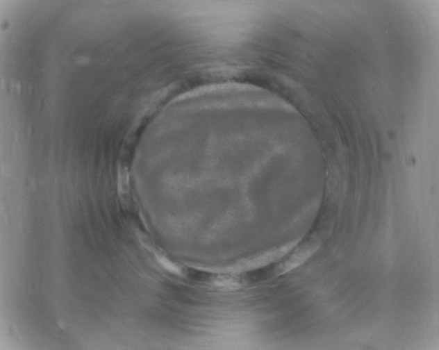 X0000071860624200607211919