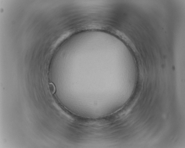 X0000071860625200607211918