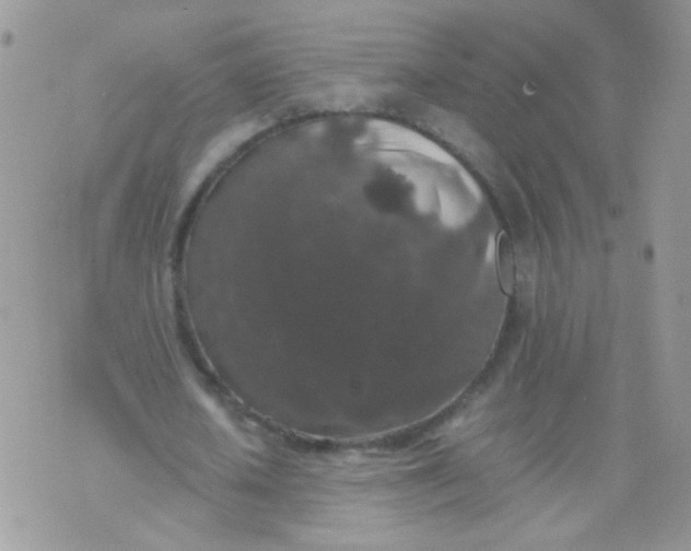 X0000071860626200607211918