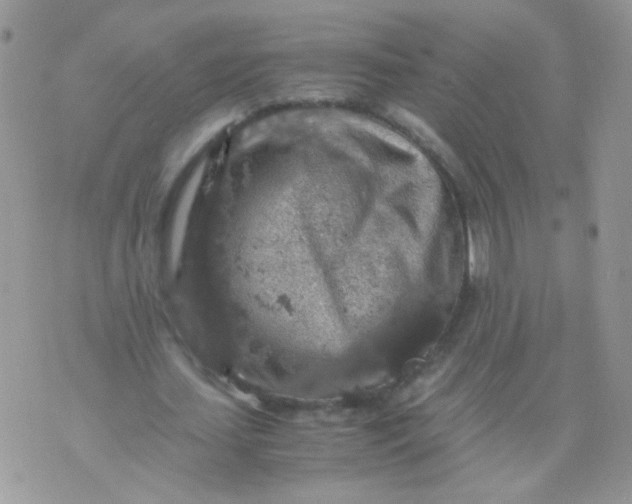 X0000071860627200607211918