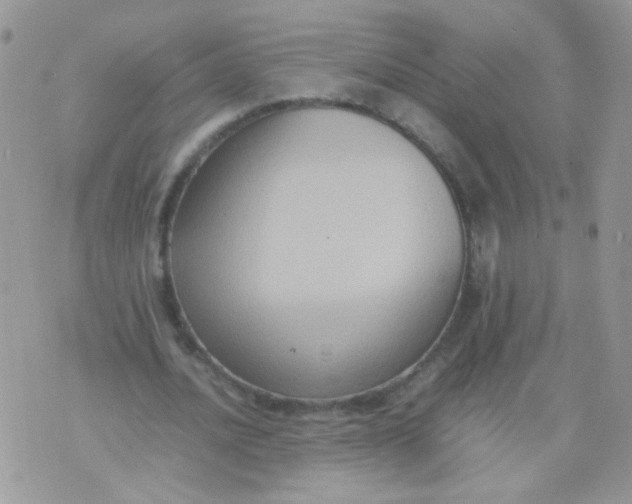 X0000071860628200607211918