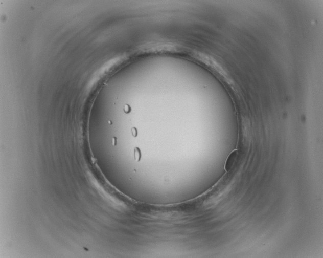 X0000071860629200607211918