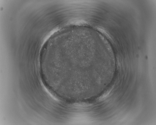 X0000071860630200607211918