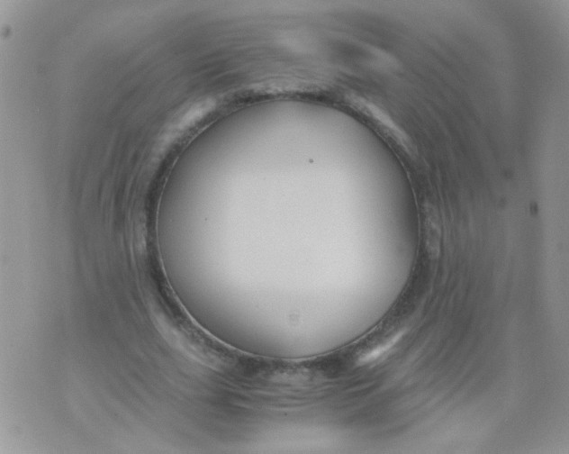 X0000071860631200607211918