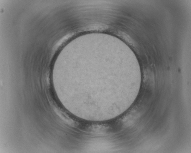 X0000071860632200607211918