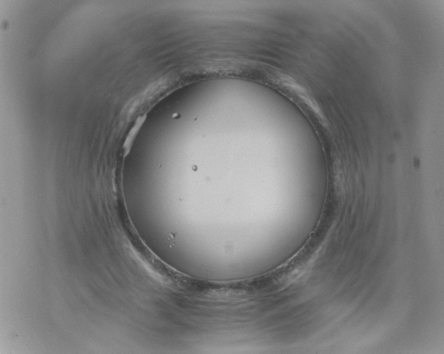 X0000071860633200607211918