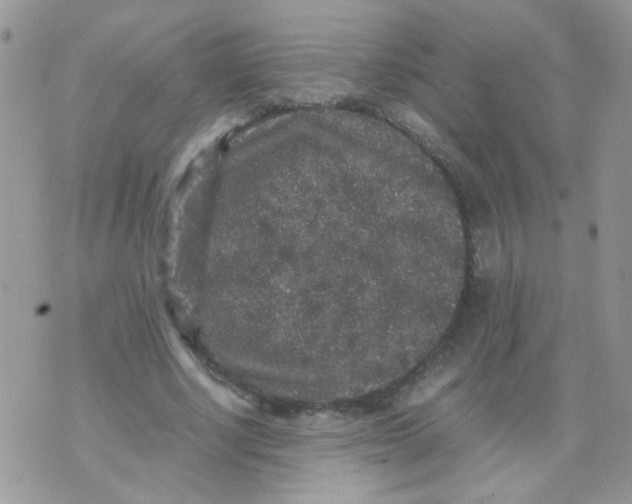 X0000071860634200607211918