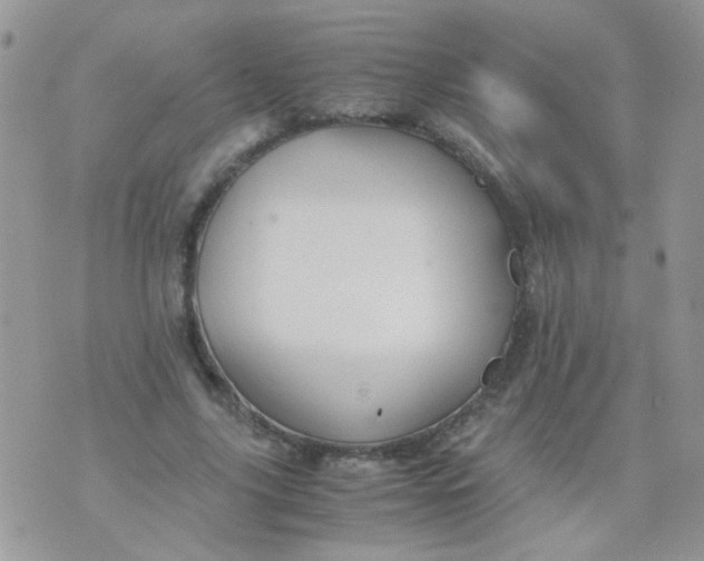 X0000071860635200607211918