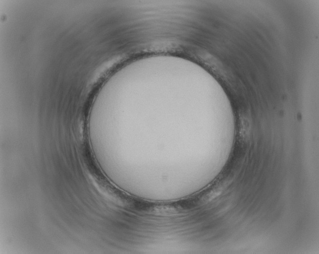 X0000071860636200607211918