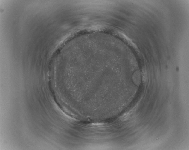 X0000071860637200607211918